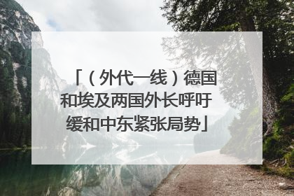 （外代一线）德国和埃及两国外长呼吁缓和中东紧张局势